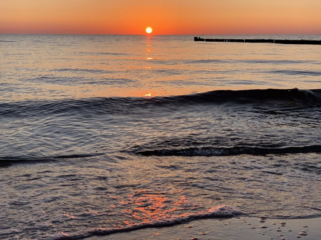 123D9BCE-49BA-4F86-9B4C-F491A9A4E3E4