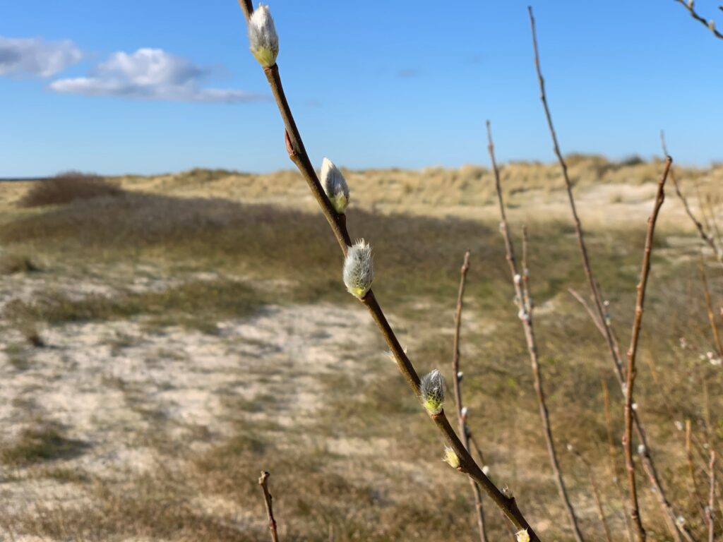 24B3AC63-EDDA-4B52-9575-57962E679537