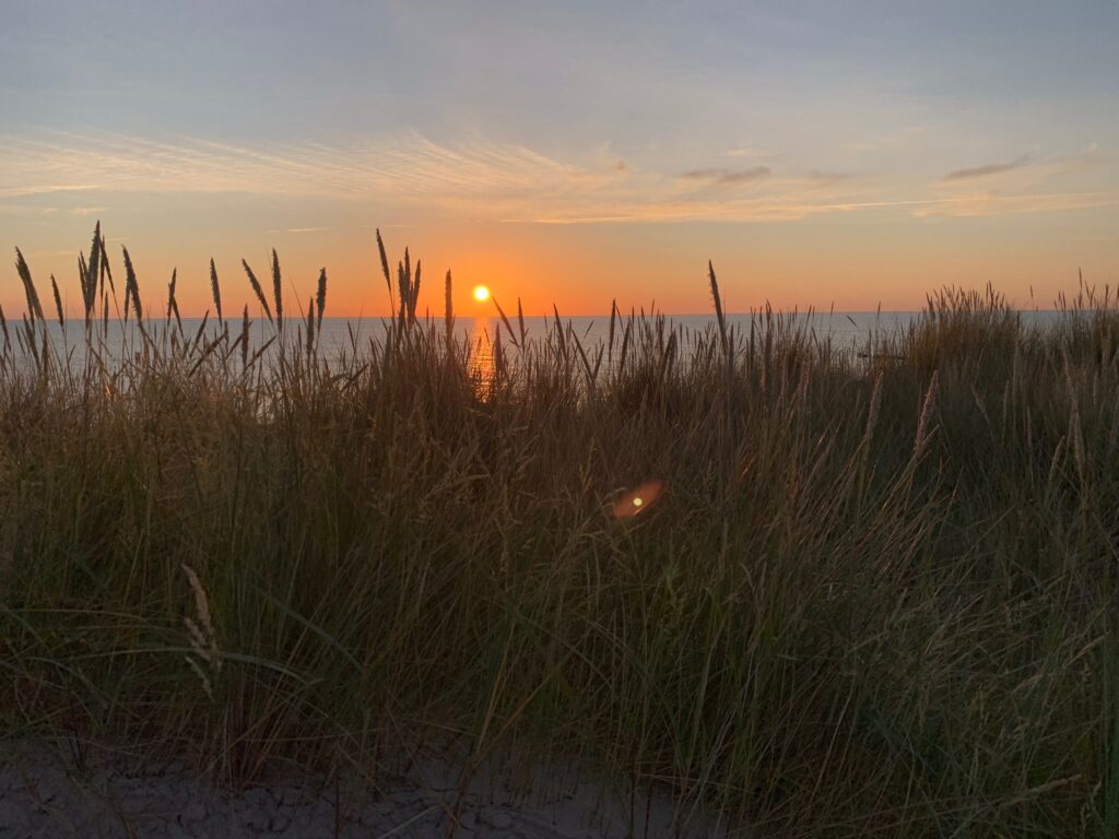 2AC67274-2FCD-41B8-B268-158CD0F4BE87