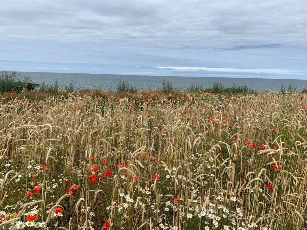 EAA99EED-A972-42B5-AC87-EB16D8DF2059