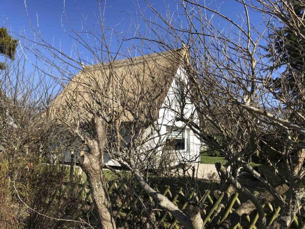 ferienhaus-duenenwind-wuh-100-wustrow-01-10