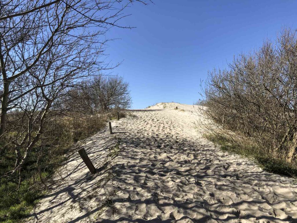 ferienhaus-duenenwind-wuh-100-wustrow-01-4